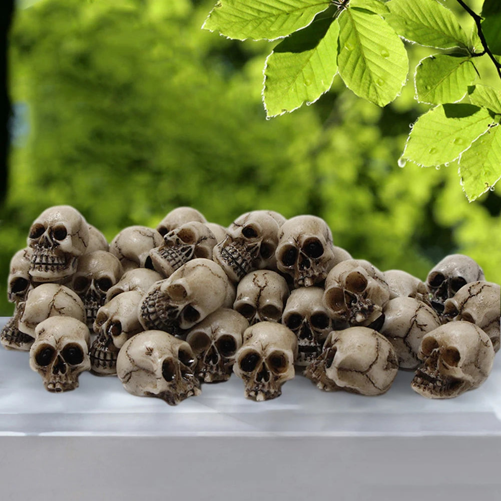 A collection of realistic skull figurines displayed on a white surface against a blurred green outdoor background.