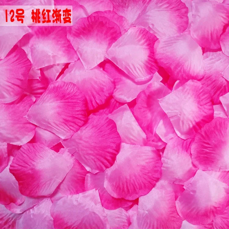 Pink silk rose petals scattered on a white background for weddings and events
