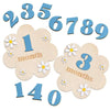 Wooden monthly milestone cards showing numbers 1 through 9 and the word months