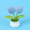 Hand woven crochet blue flowers in a white pot with green leaves