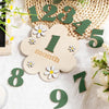 Wooden monthly milestone cards showing numbers 1 through 9 cut from green and natural wood on a white background