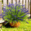 A vibrant bouquet of artificial purple lavender flowers in a wooden pot set against a green lawn.