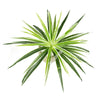Artificial chlorophytum branch with long green leaves for home decor