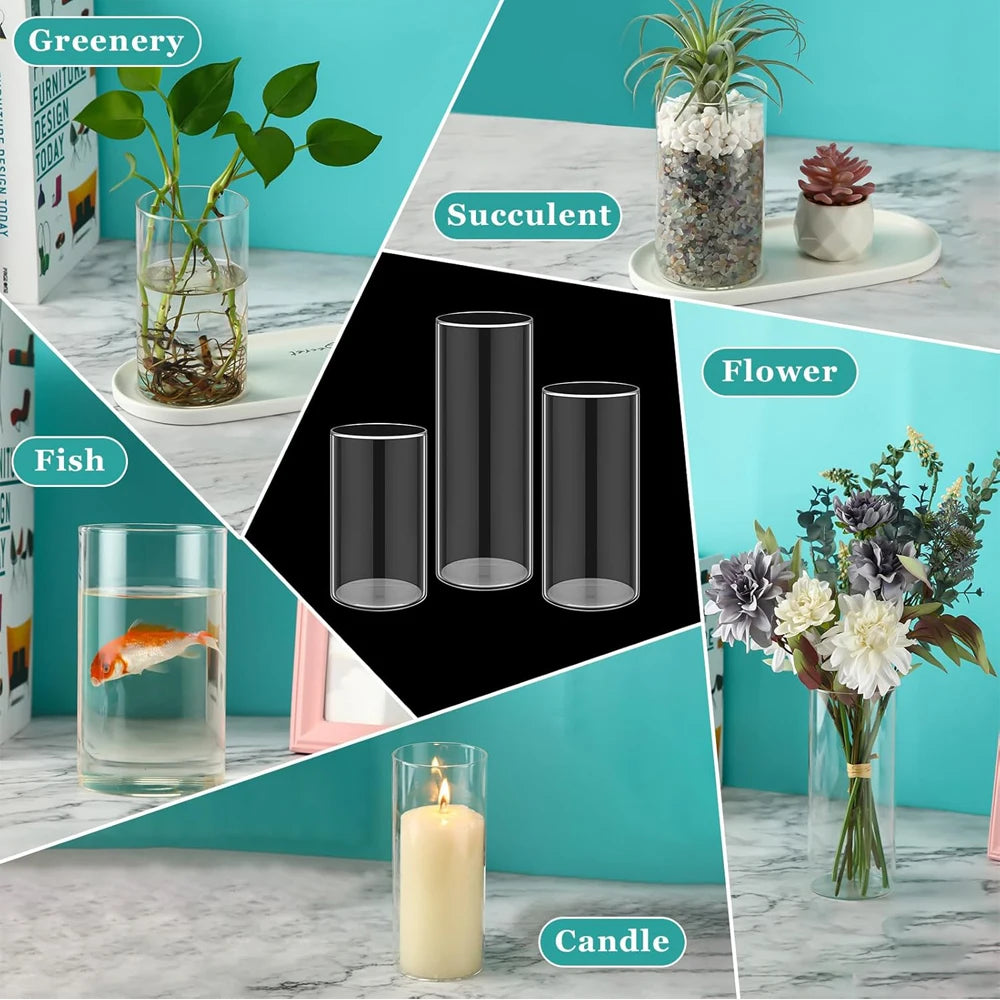A collection of clear glass cylinders used as vases for various decor items including greenery, succulents, flowers, and cand