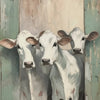 Two white Highland cows painted on a rustic wooden background.