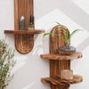 Two wooden wall shelves with natural wood slats display small stones and a green plant.
