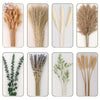 A collection of dried floral arrangements featuring various grasses, lavender, and eucalyptus in natural tones.