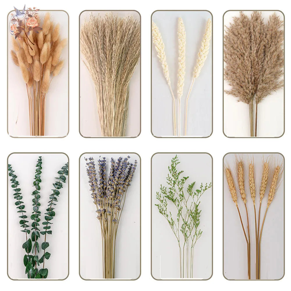 A collection of dried floral arrangements featuring various grasses, lavender, and eucalyptus in natural tones.