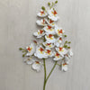 A stem of the Lifelike Butterfly Orchid featuring 21 white and orange blooms.