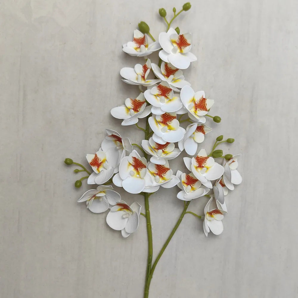 A stem of the Lifelike Butterfly Orchid featuring 21 white and orange blooms.