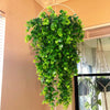 A hanging artificial eucalyptus plant with bright green leaves decoratively displayed on a wall.