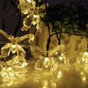 A close-up of solar decorative string lights shaped like butterflies illuminating a dark outdoor setting.