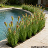 Multi-pcs effect of eight artificial grass stems used for home decor