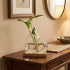 A clear glass vase holding a green plant on a wooden stand, displayed on a dark wood table.