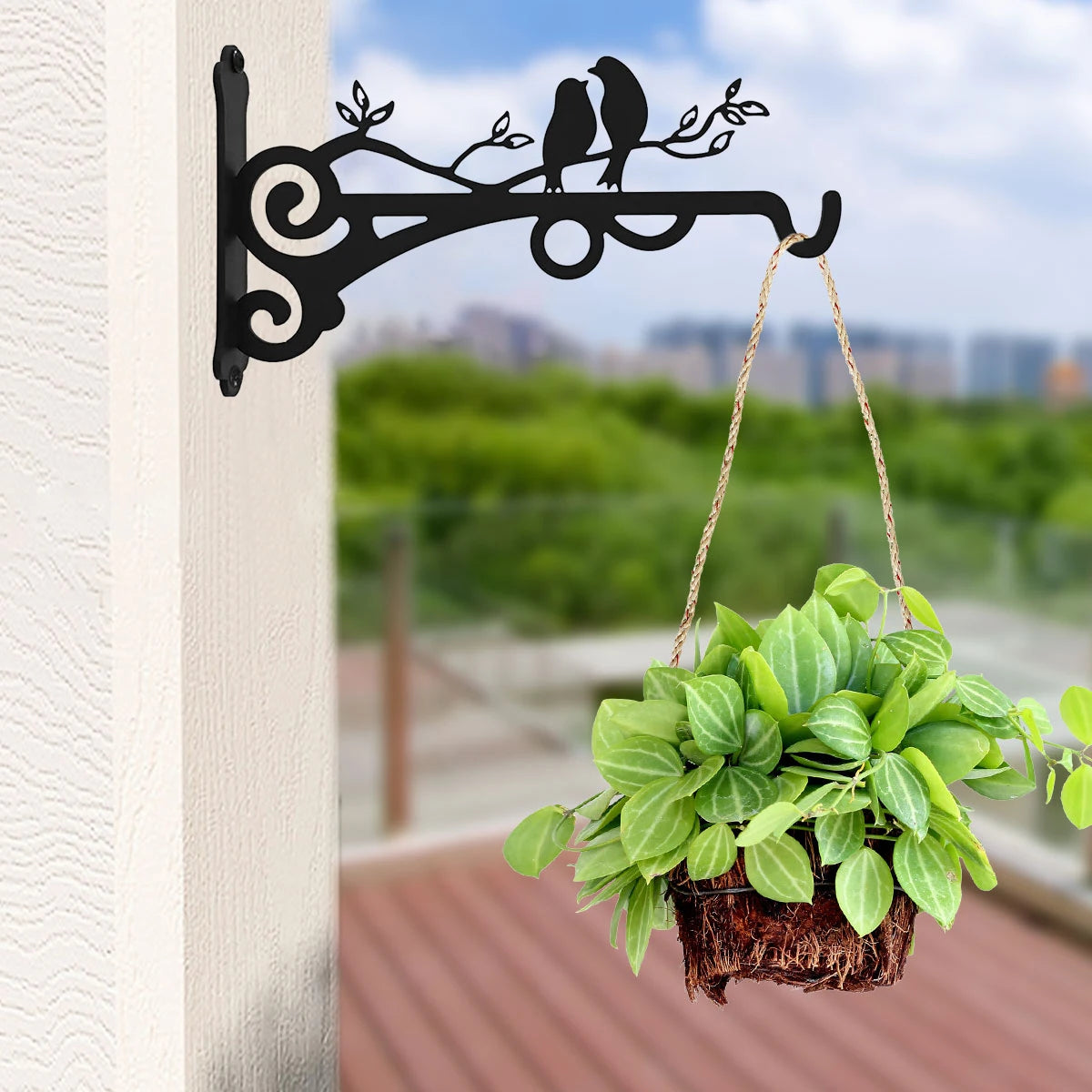 Black vintage iron wall hooks with a bird design holding a potted green plant