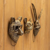 A set of bronze deer head storage hooks with glasses mounted on a wooden wall.