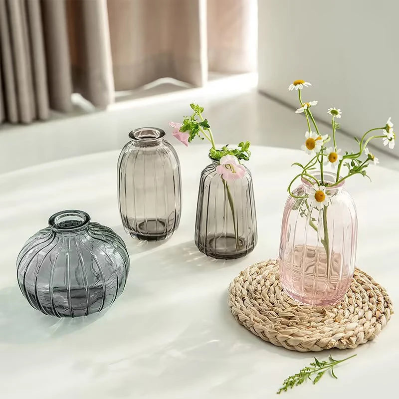A collection of modern clear glass vases in various shapes and pink flowers on a white surface.