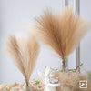 A dried pampas grass floral decor set featuring light beige plumes displayed in glass vases on a draped fabric.
