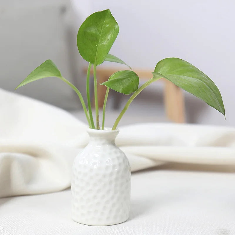 Handcrafted Ceramic Mini Vase for Desk & Tabletop Decor