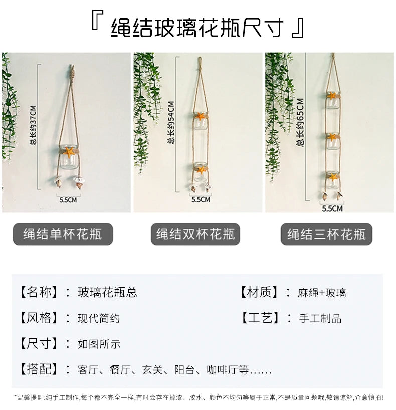 Three types of glass terrariums for indoor plants including single, double, and triple arrangements