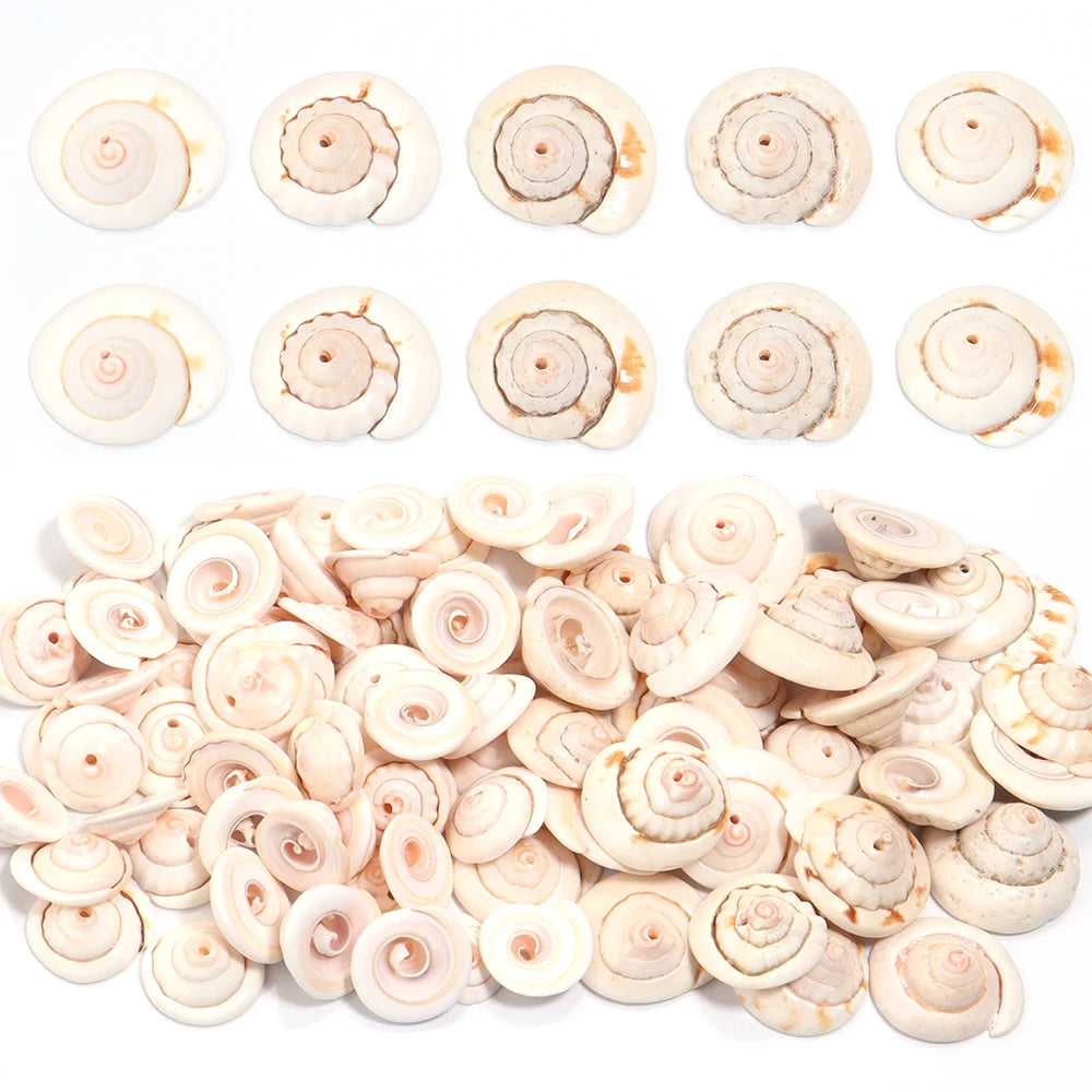 Natural Sea Snail Shell Beads for DIY Jewelry Making