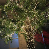 A tree adorned with numerous warm white fairy lights in an outdoor garden setting.