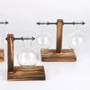 A set of vintage glass plant vases mounted on wooden stands for hydroponic plants.