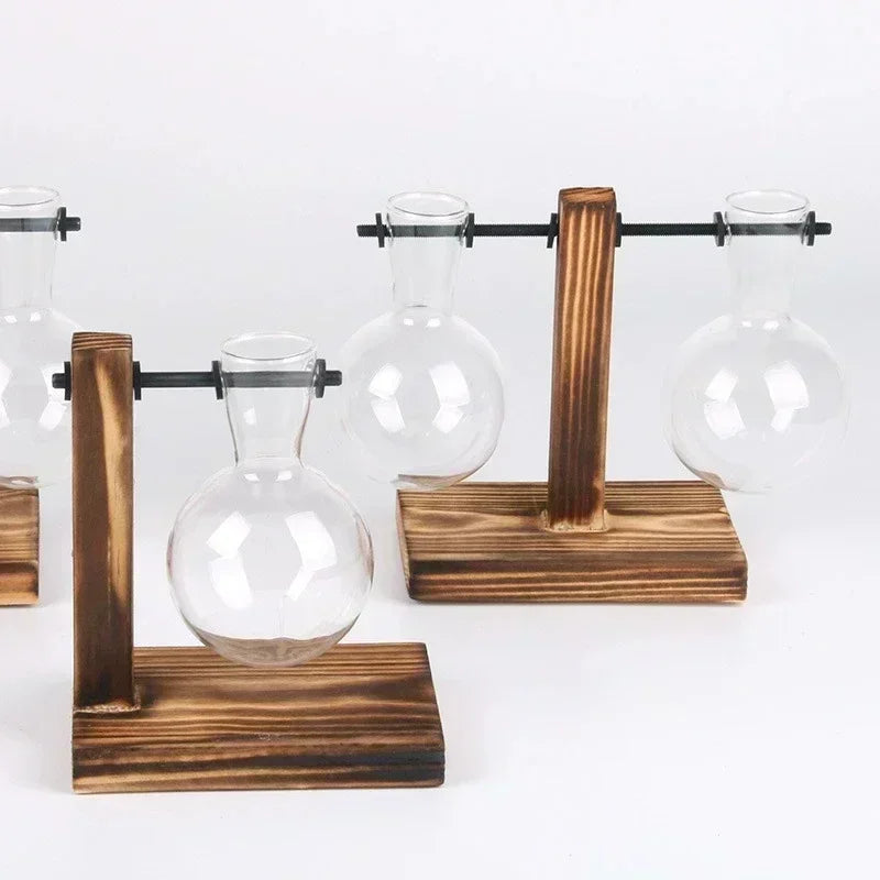 A set of vintage glass plant vases mounted on wooden stands for hydroponic plants.