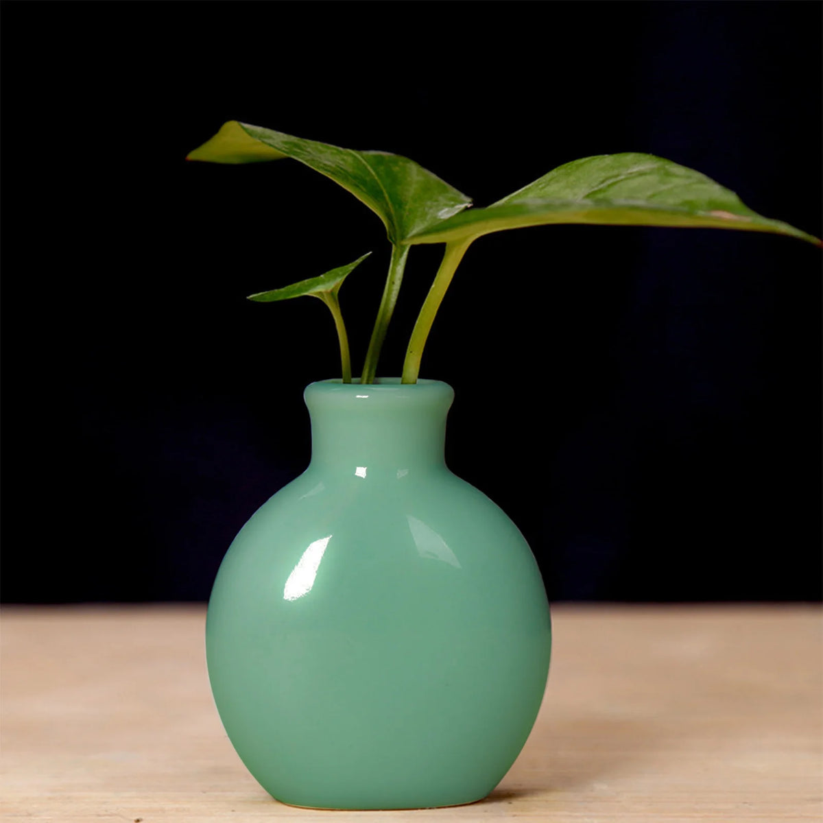 Handcrafted Ceramic Mini Vase for Desk & Tabletop Decor