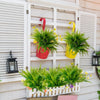 A display of artificial green Boston ferns and shrubs in red and yellow pots mounted on a white wooden panel.