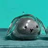 A clear glass keepsake shaped like a rabbit head with gray hair inside, resting on a blue surface.