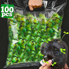 A clear plastic bag filled with green bean sprout hair clips and a hand placing them into dark hair.