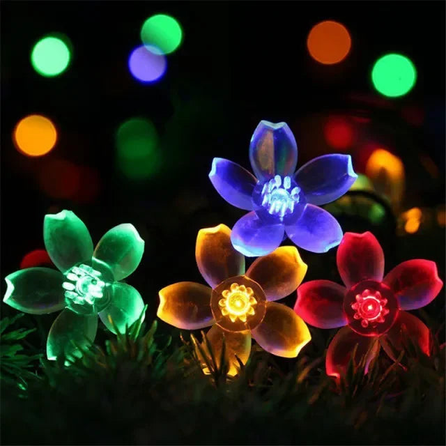 Close-up of vibrant blue and orange flowers illuminated by bokeh lights in a dark setting.