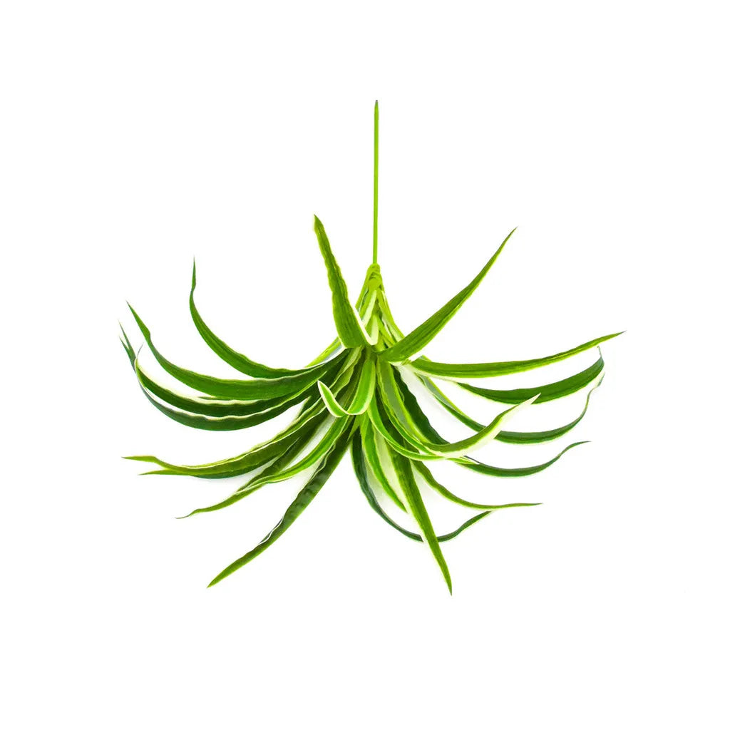 Artificial chlorophytum branch with green leaves for home decor