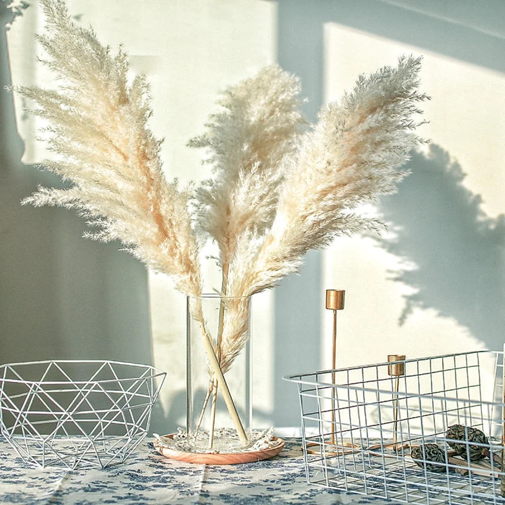 A bouquet of dried pampas grass arranged in a clear glass vase on a white table.
