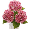 A cluster of large pink hydrangea flowers with green leaves in a white vase.