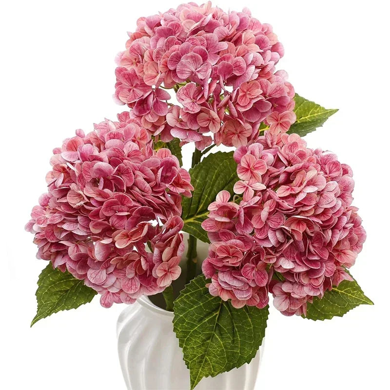A cluster of large pink hydrangea flowers with green leaves in a white vase.