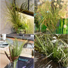 A bundle of artificial grass greenery with thin, spiky blades and small white flowers.