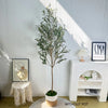A tall artificial olive tree branches in a pot displayed against a white wall with framed art and a small shelf.