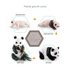 A set of figurines illustrating the panda growth cycle stages: cub, adult, and pup.