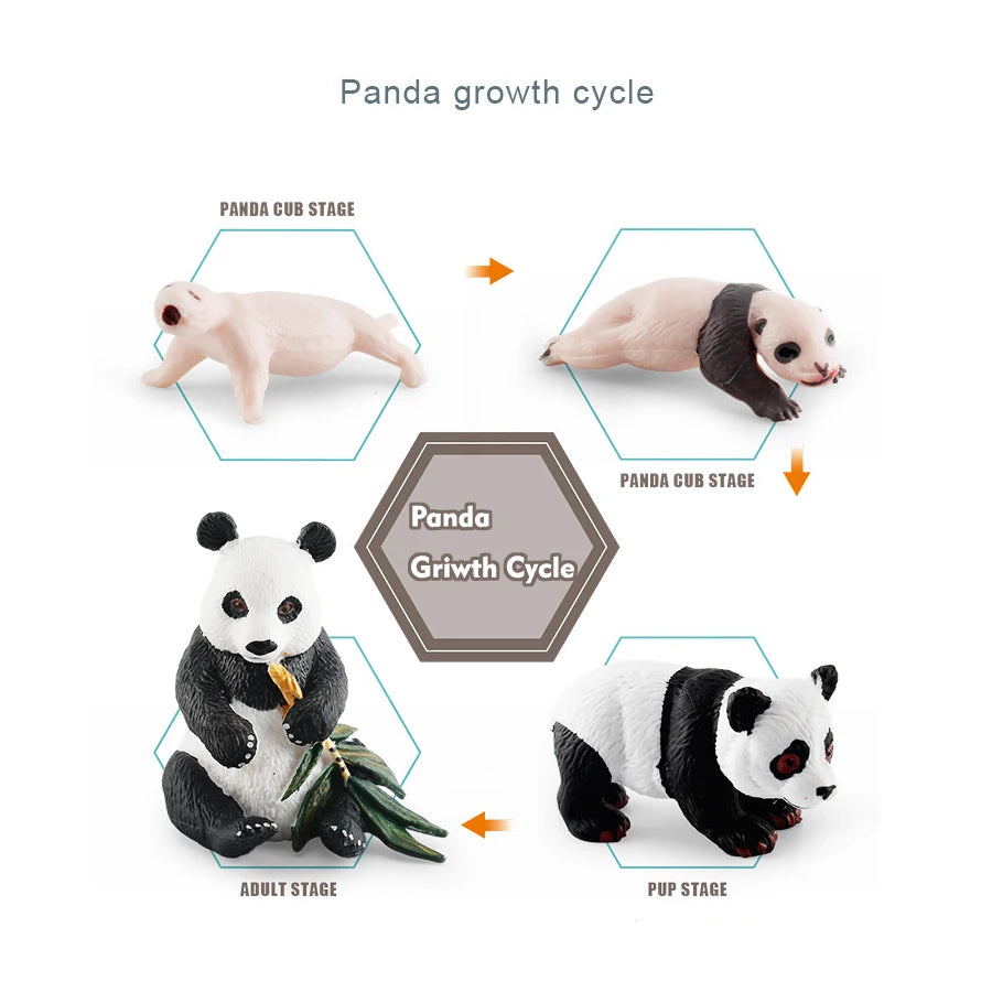 A set of figurines illustrating the panda growth cycle stages: cub, adult, and pup.
