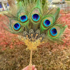 Plume de paon naturelle utilisée comme éventail, avec des plumes vertes et bleues vibrantes.