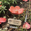 A pink flower with a golden center is shown on a green stem, labeled Cups for Bee.