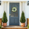 A dark gray door with glass panels flanked by tall white columns and potted evergreen trees.