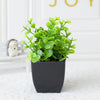 A small potted artificial eucalyptus plant in a black pot sitting on a white surface.