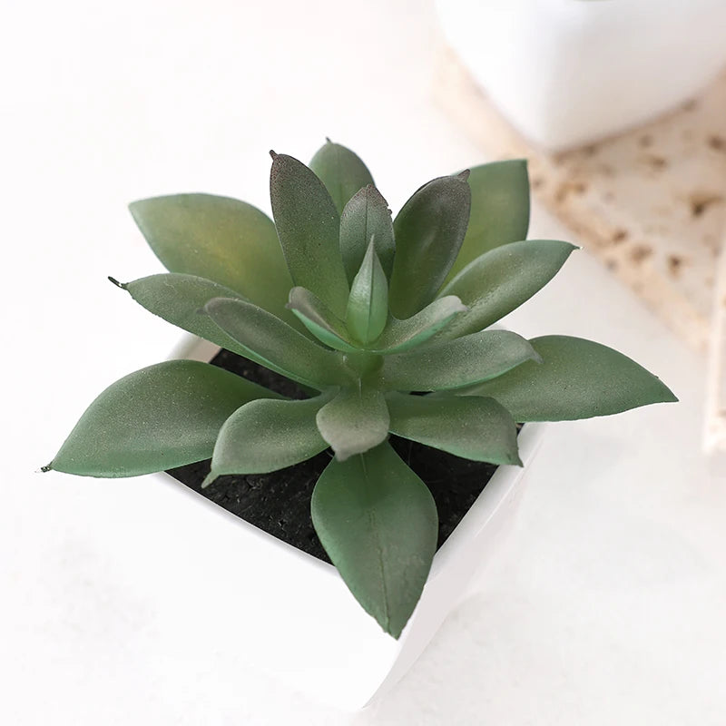 Set of 3 Artificial Evergreen Bonsai Plants