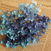 A cluster of blue-gray dried hydrangea flowers displayed against a background of old paper.
