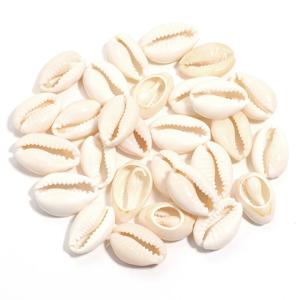 Natural Sea Snail Shell Beads for DIY Jewelry Making