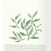 A watercolor illustration of green leaves with Arabic calligraphy text on a white background.