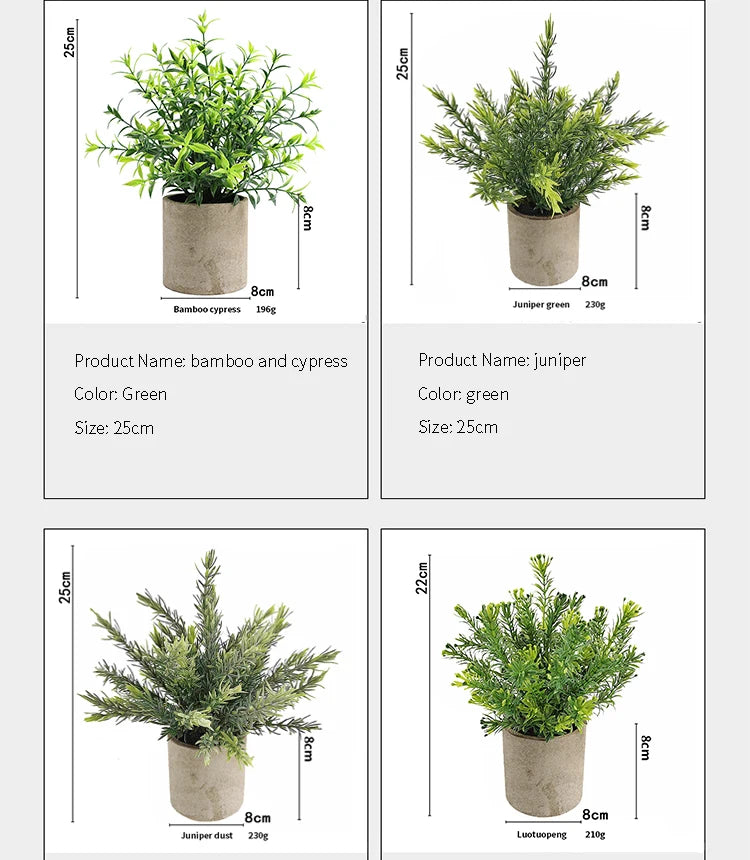 Three potted green plants: bamboo and cypress, juniper, and luotuopeng.
